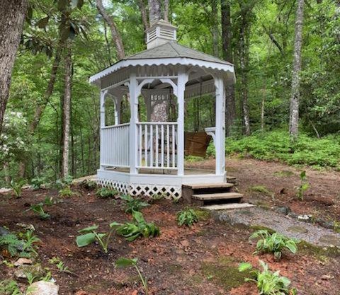 Lolly's Treehouse