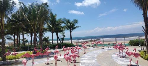 Longs Beach House - Wonderland Hồ Tràm