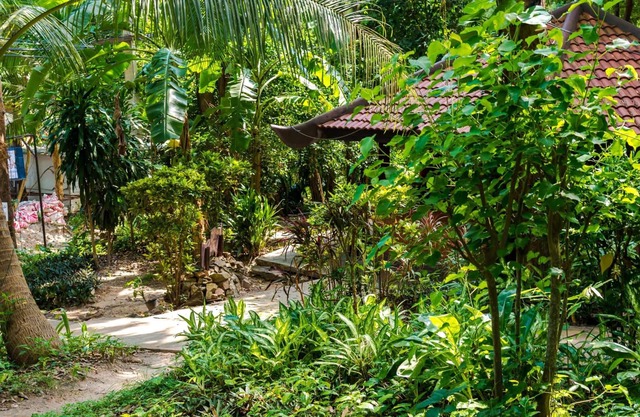 Lost Resort