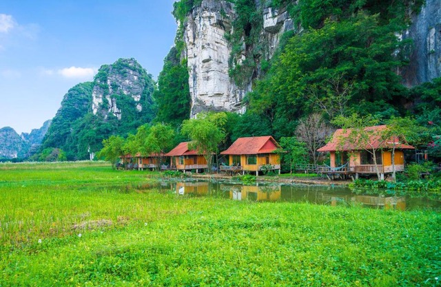Lotus Field Homestay