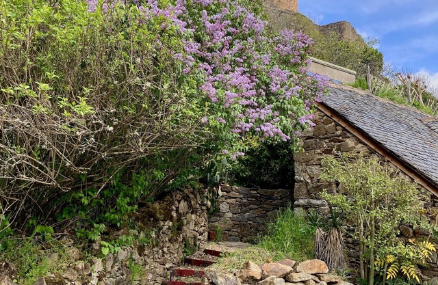 "Lou Cambrou" Cottage/Gîte located in the historic quarter of the Fortress of Najac