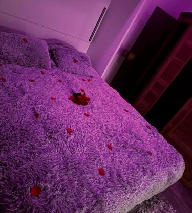 Love Room - Le Parad'Ysi
