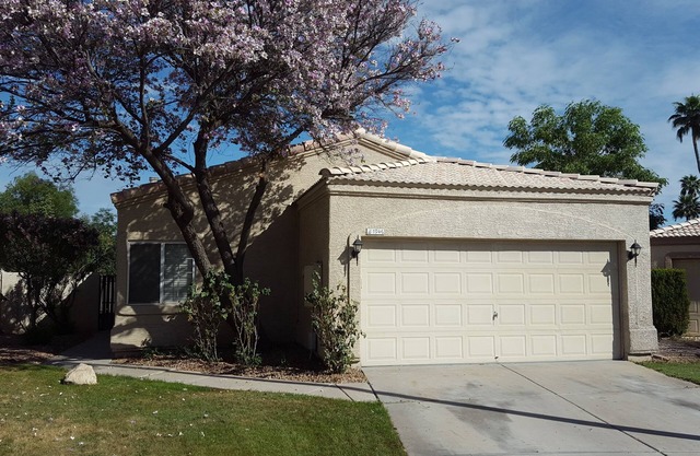 Love Your Privacy - The Whole House In La Jolla Village Is Yours!
