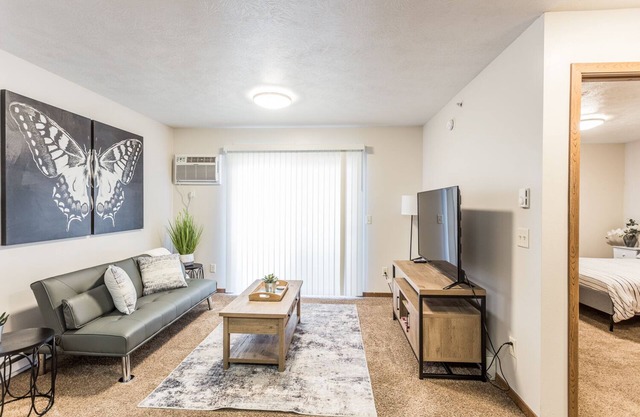 Lovely 1 BD Ideal for Traveling Professionals!