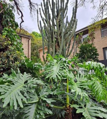 Lovely 1bed apartment Sydney inner west w parking
