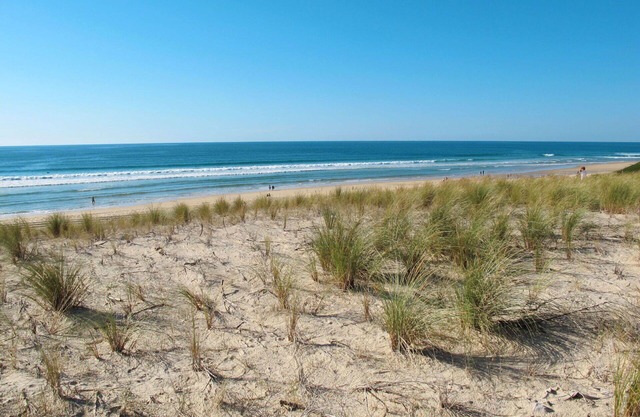 Lovely apartment for 6 guests with WIFI, pool, TV, terrace and pets allowed