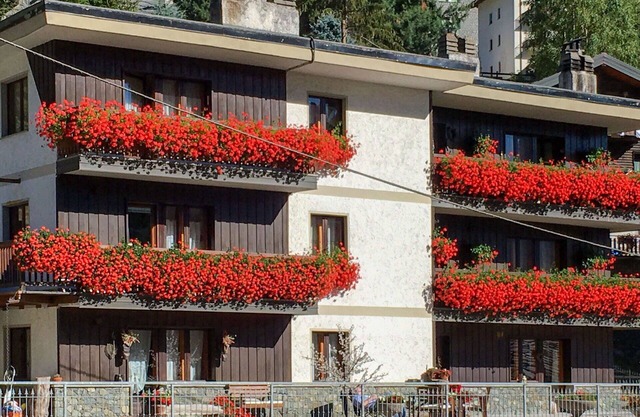 Lovely apartment for 4 people with WIFI, TV, terrace, pets allowed and parking