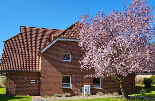 Lovely apartment for 4 guests with WIFI, TV, balcony, pets allowed and parking