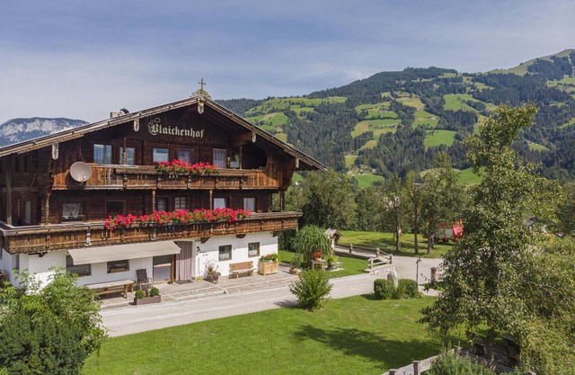 Lovely apartment among the Alps