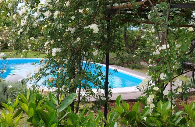 Lovely Depandance with use of pool