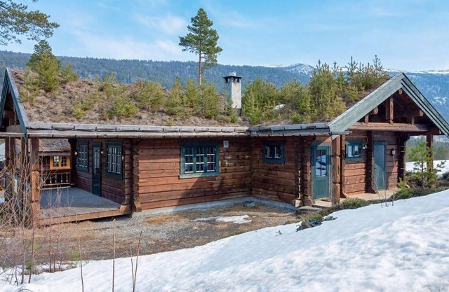 Lovely home in Uvdal with sauna