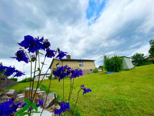 Lovely Home