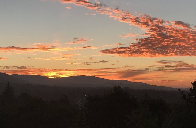 Lovely Los Gatos Hillside Hideaway. Whole Family/Pod can Work, Study, and Relax.