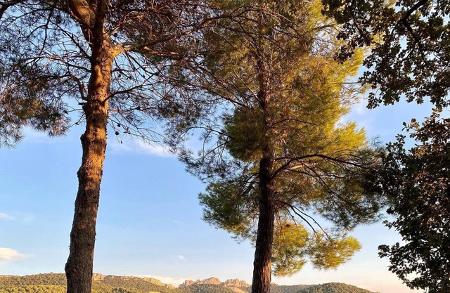 Lovely mas in a serene place with an exceptional view