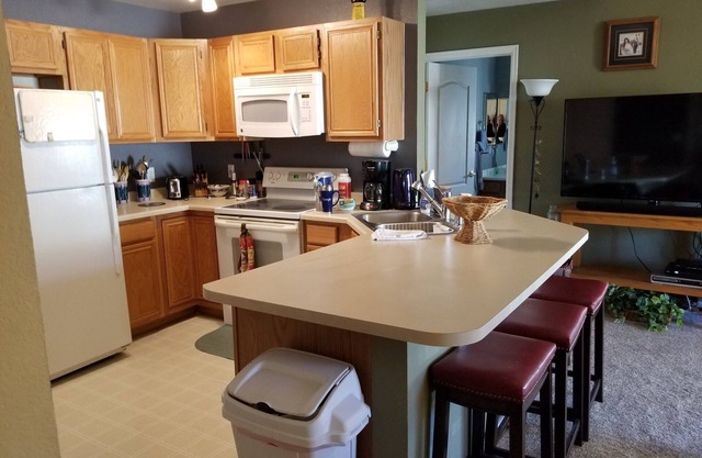 Lovely mountain condo with remote workspace
