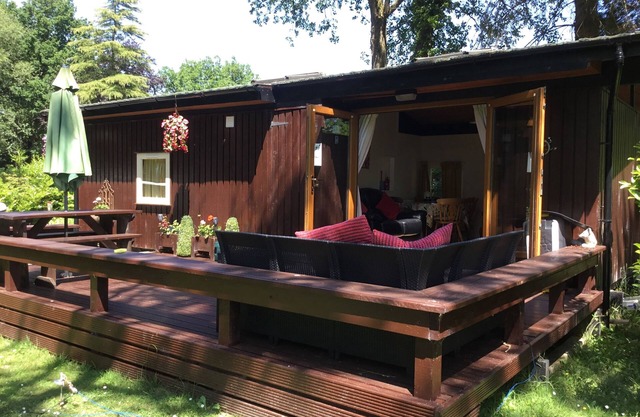 Lovely pine lodge on woodland conservation site