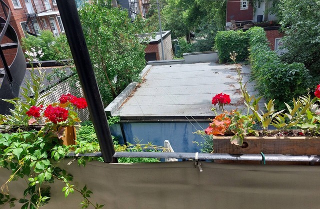 lovely plateau apartment on Parc Laurier