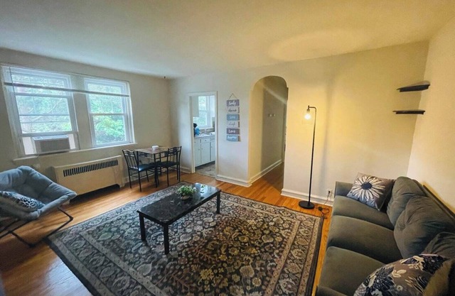 Lovely Spacious 1BR Apt. Monthly Discount