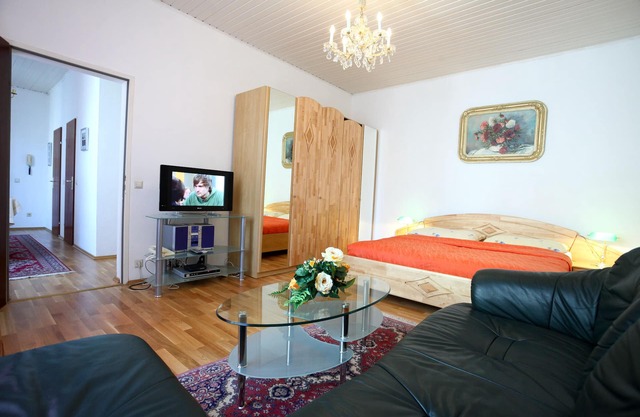Lovely Studio/Livingroom-Bedroom Apartment #10 Near The Center of Vienna