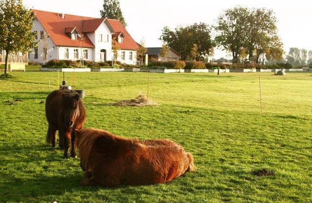 Lovingly renovated farmhouse on eco-farm - only 1 km to the Rügen ferry
