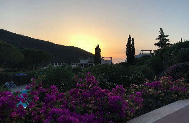 Lovingly furnished vacation apartment with large pool in Nisporto