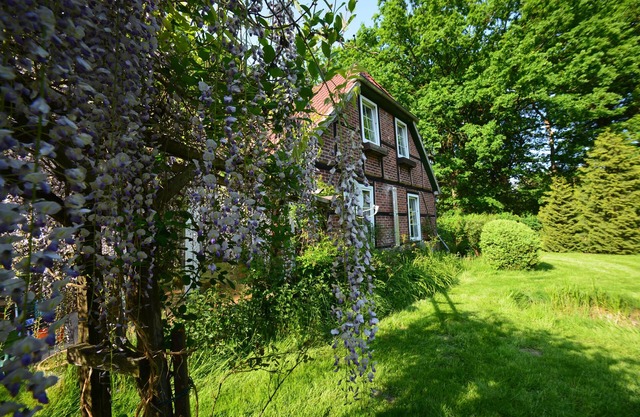 Lovingly renovated house surrounded by forest and a beautiful garden