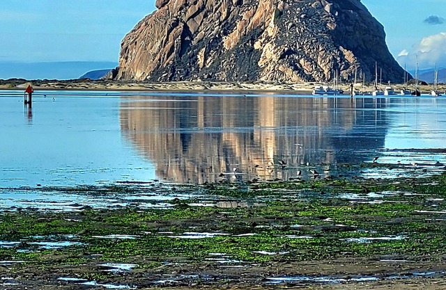 Low rates middle of the week for October. 15 minutes from Pismo Beach.