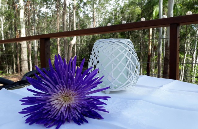 Lucas Parklands - The Studio, privacy on 26 acres, direct access to Great Walk