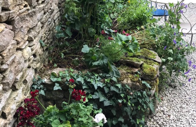 Lucy's Tearoom B&B
