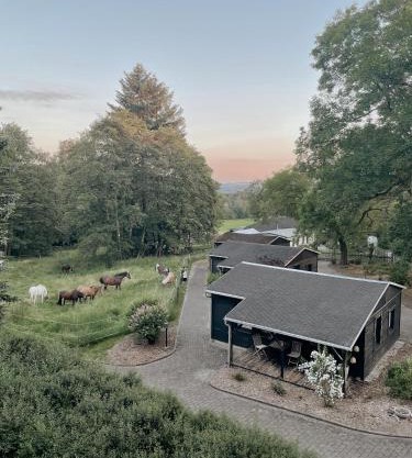 Ludwigslust Vogtland de - Ideal für Naturliebhaber & Fellnasen