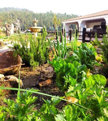 Lujosa Casa Quinta en Naturaleza Andina