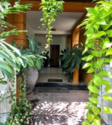 LUMBINI home stay