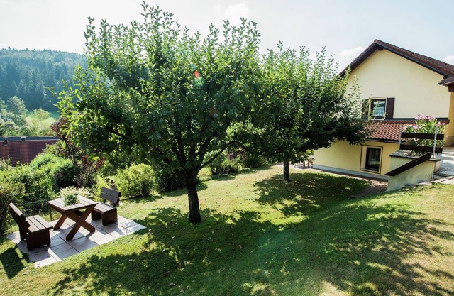 Luring Apartment in Plankenstein near Forest