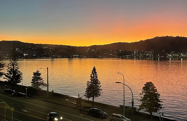 Lux Waterfront in Oriental Bay