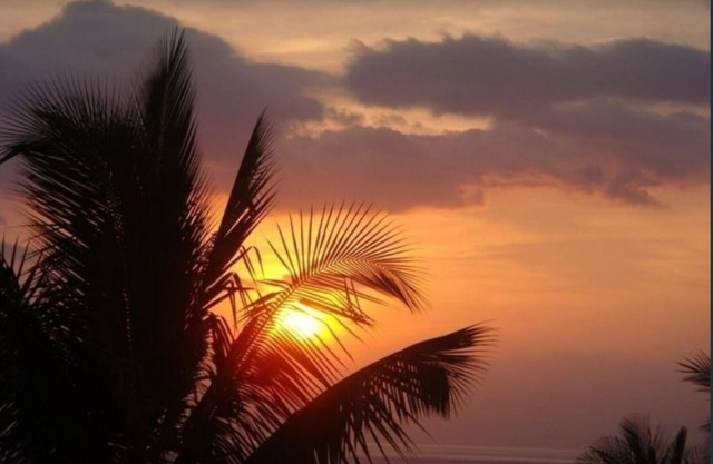 Luxe Oceanview Hideaway on Wailea Old Blue Golf Course