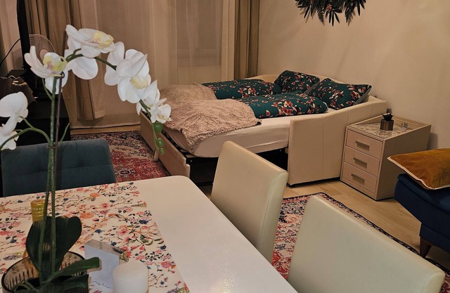 Luxurious 1-room apartment in the heart of Bamberg