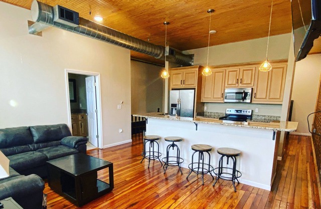 Luxurious Downtown apartment