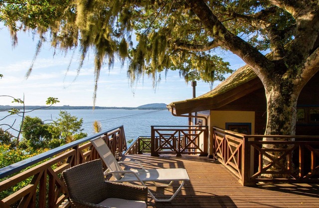 Luxurious house built around an ancient fig tree.