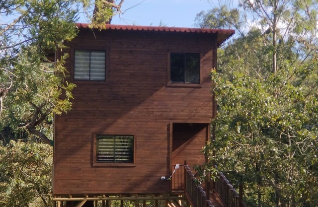 Luxurious Tree House in a Rustic, Secluded, and Serene Finca