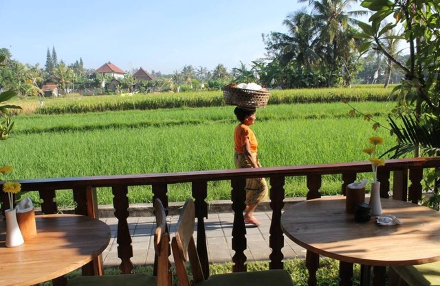 Luxury 2 BR Private Pool Vila Nice Paddies Field View