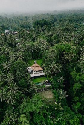 Luxury 2BR Ubud Villa with Infinity Pool and Jungle Views