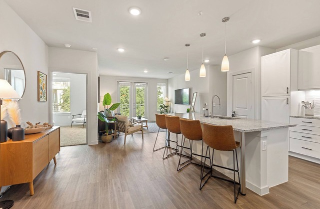 Luxury 3-BR Apartment
