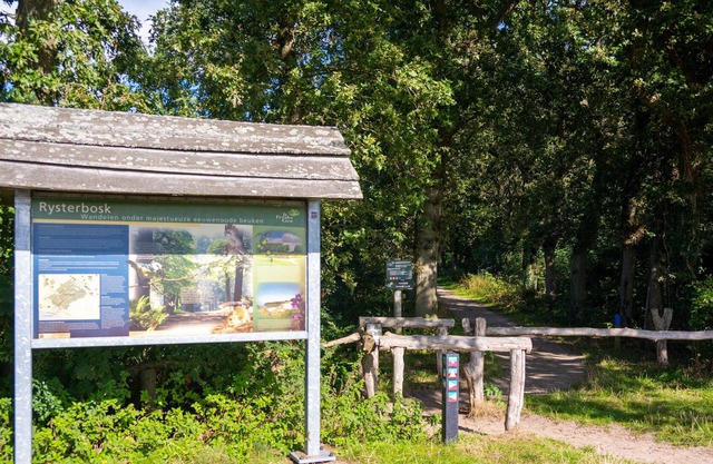 Luxury box villa "Bij Klaas" near forest and lake with beach!
