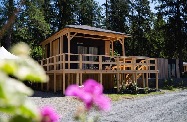 Luxury chalet with ac near Pressegger See