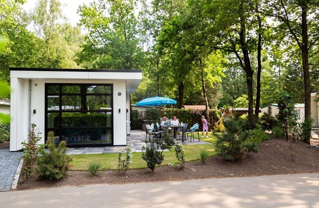 Luxury chalet with dishwasher in a holiday park in the middle of De Veluwe