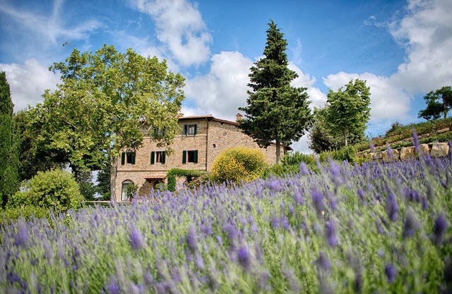 Luxury Chianti with two Bedrooms - Apartment for 5 people in Panzano