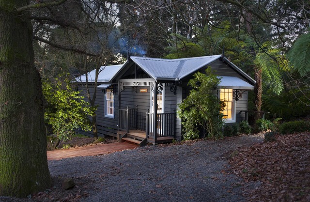 Luxury escape for you and your dog