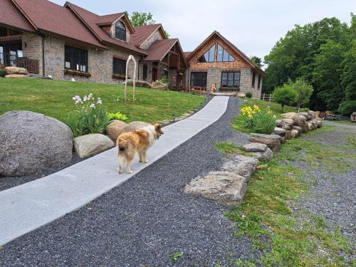 Luxury farm Stay, Alexandria