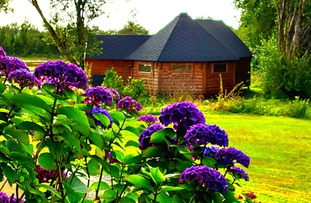 Luxury Glamping in Hobbit Lodge, quiet, relaxing for that special break away.
