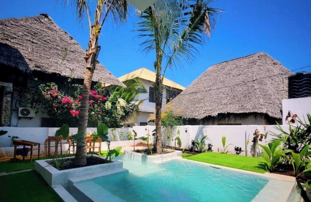 Luxury ground-floor Villa & pool WIFI AC TV walk 90m to Paje beach shops & bars